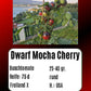Dwarf Mocha Cherry DER TOMATENFLÜSTERER