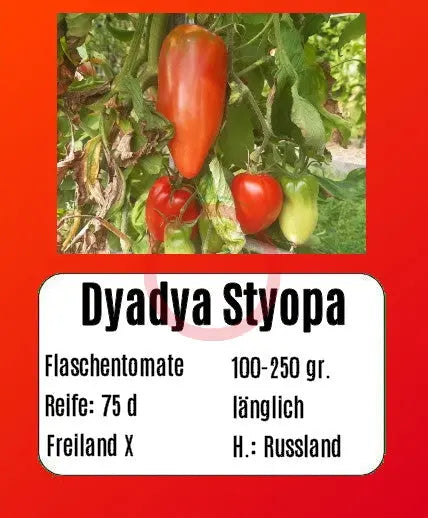 Dyadya Styopa – DER TOMATENFLÜSTERER