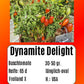 Dynamite Delight DER TOMATENFLÜSTERER