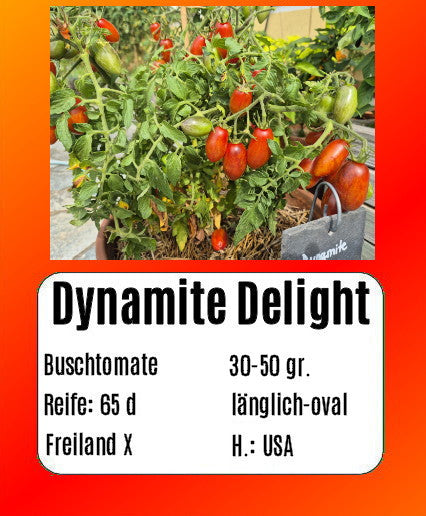Dynamite Delight DER TOMATENFLÜSTERER