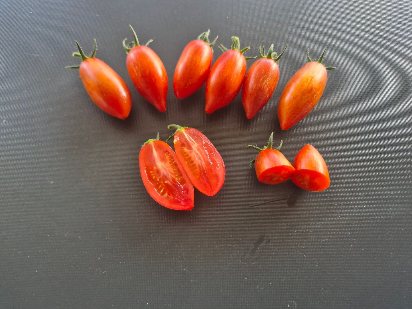 Dynamite Delight DER TOMATENFLÜSTERER