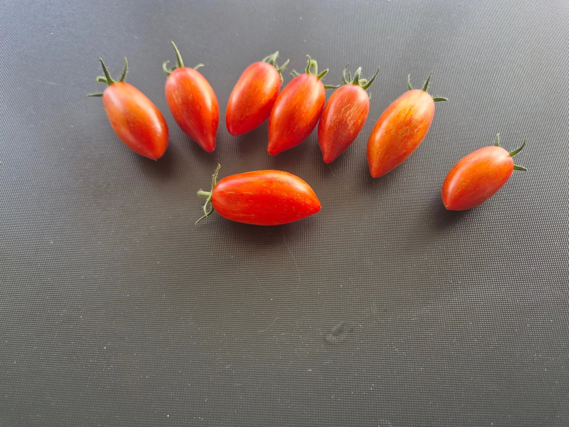 Dynamite Delight DER TOMATENFLÜSTERER