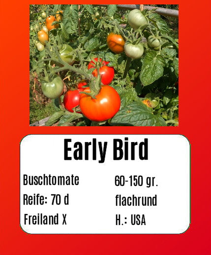 Early Bird DER TOMATENFLÜSTERER