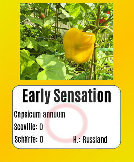 Early Sensation DER TOMATENFLÜSTERER