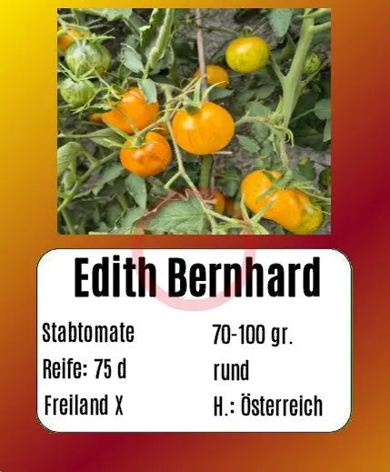Edith Bernhard DER TOMATENFLÜSTERER