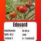 Edouard DER TOMATENFLÜSTERER