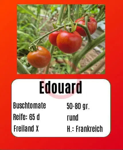 Edouard DER TOMATENFLÜSTERER