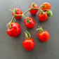 Edouard DER TOMATENFLÜSTERER