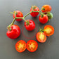Edouard DER TOMATENFLÜSTERER