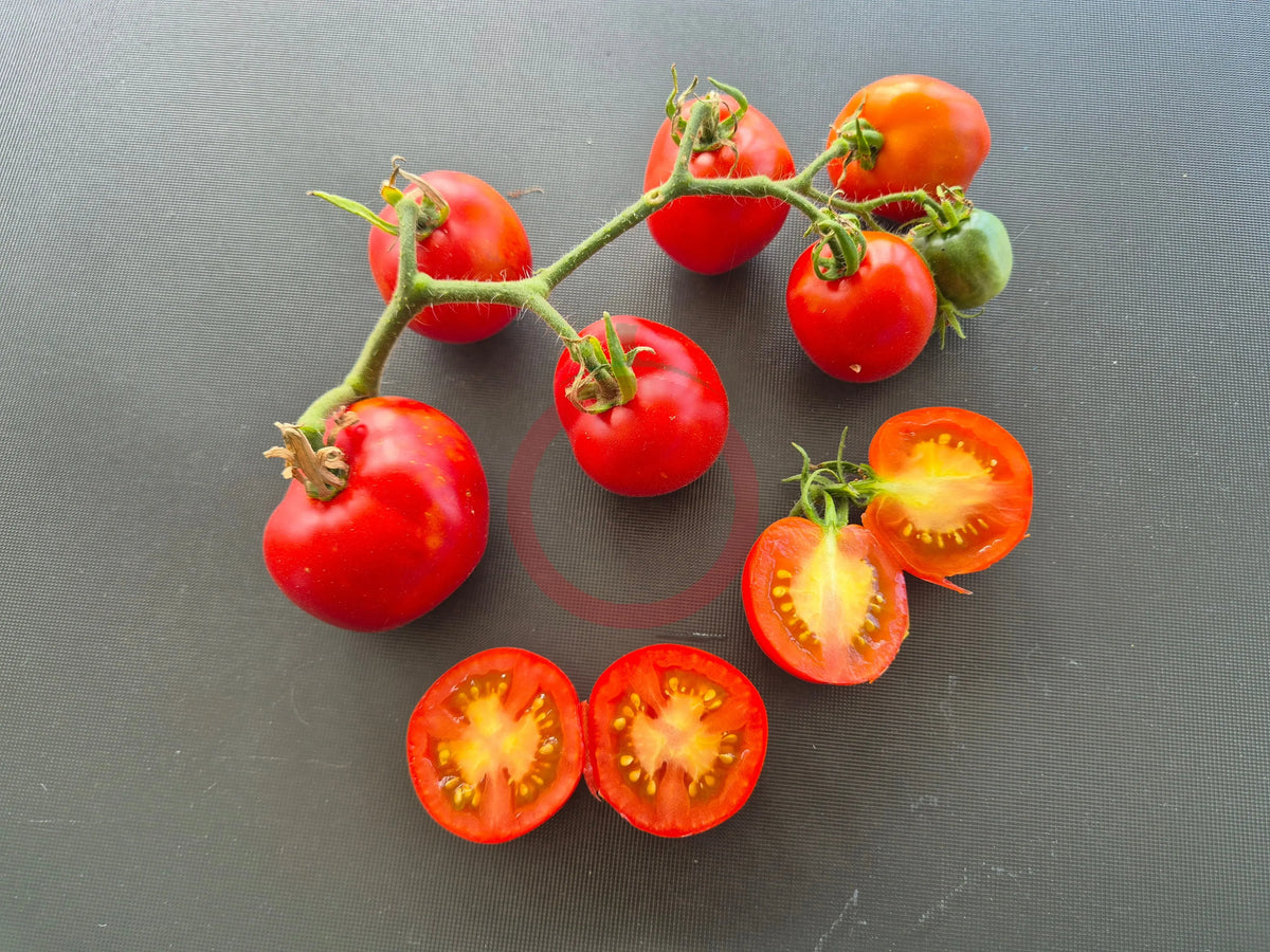 Edouard DER TOMATENFLÜSTERER
