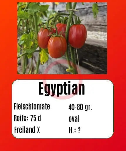 Egyptian DER TOMATENFLÜSTERER