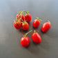 Egyptian DER TOMATENFLÜSTERER