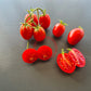 Egyptian DER TOMATENFLÜSTERER
