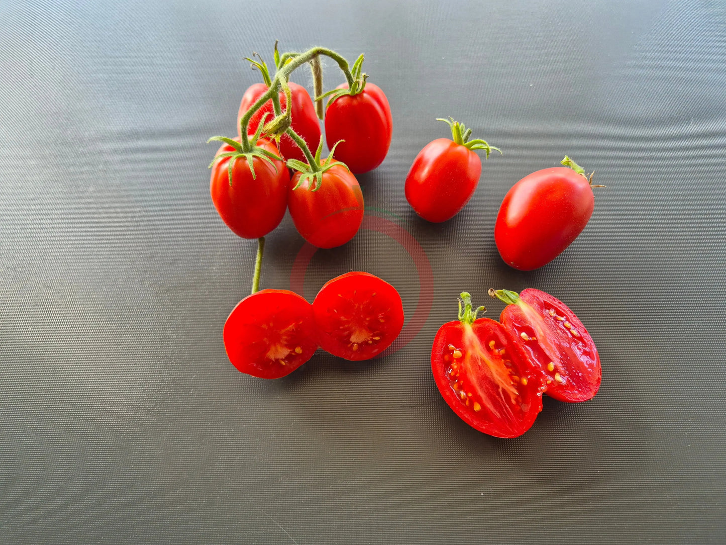 Egyptian DER TOMATENFLÜSTERER
