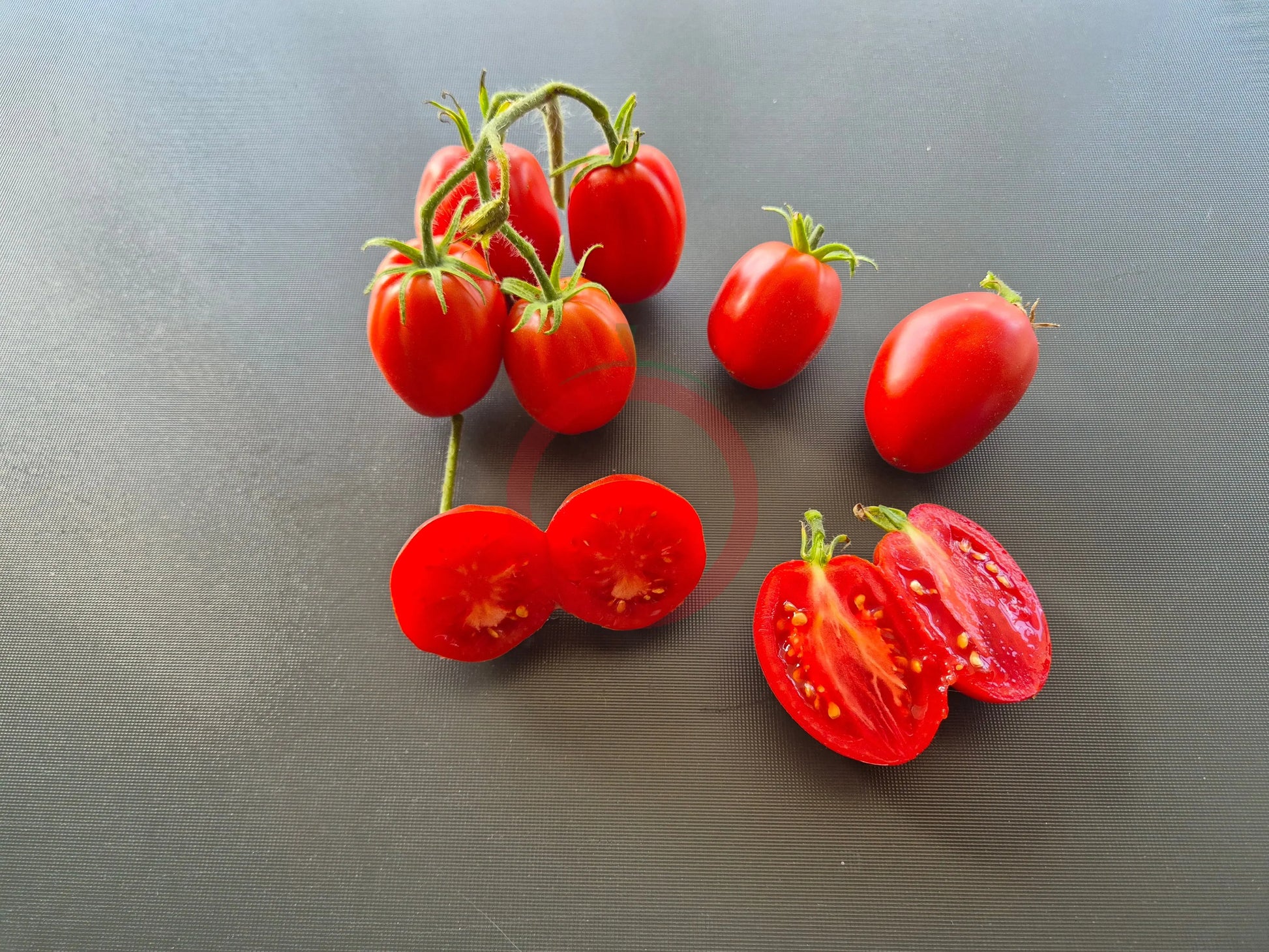 Egyptian DER TOMATENFLÜSTERER
