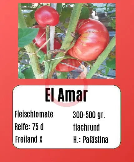 El Amar DER TOMATENFLÜSTERER