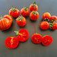 Elberta Peach DER TOMATENFLÜSTERER