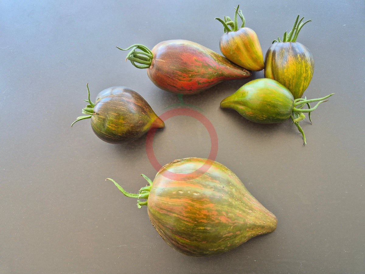 Elena's Emerald Caramel DER TOMATENFLÜSTERER