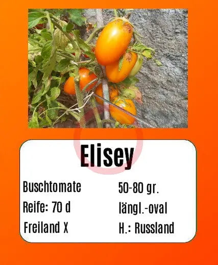 Elisey DER TOMATENFLÜSTERER