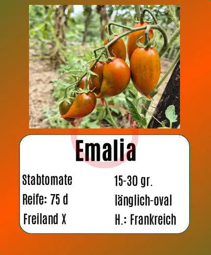 Emalia DER TOMATENFLÜSTERER