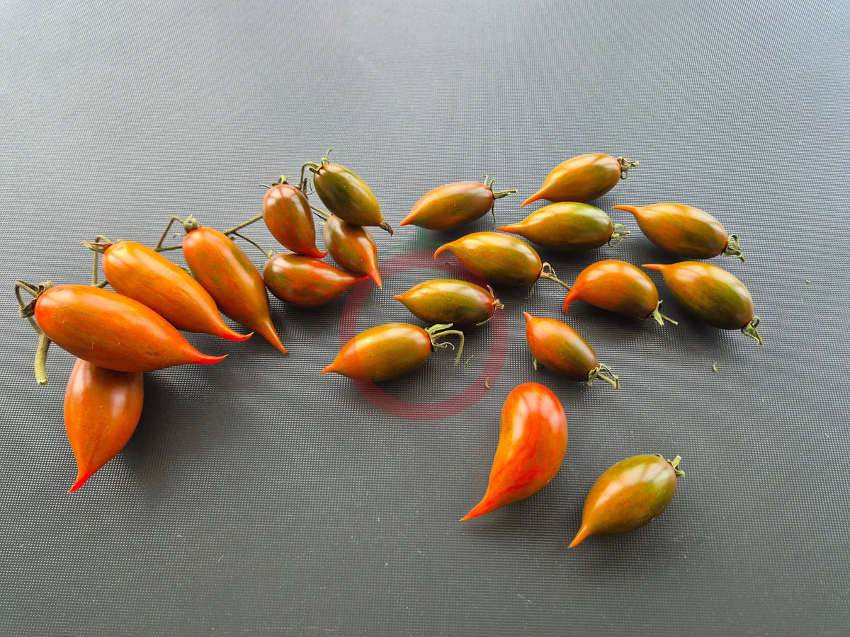 Emalia DER TOMATENFLÜSTERER