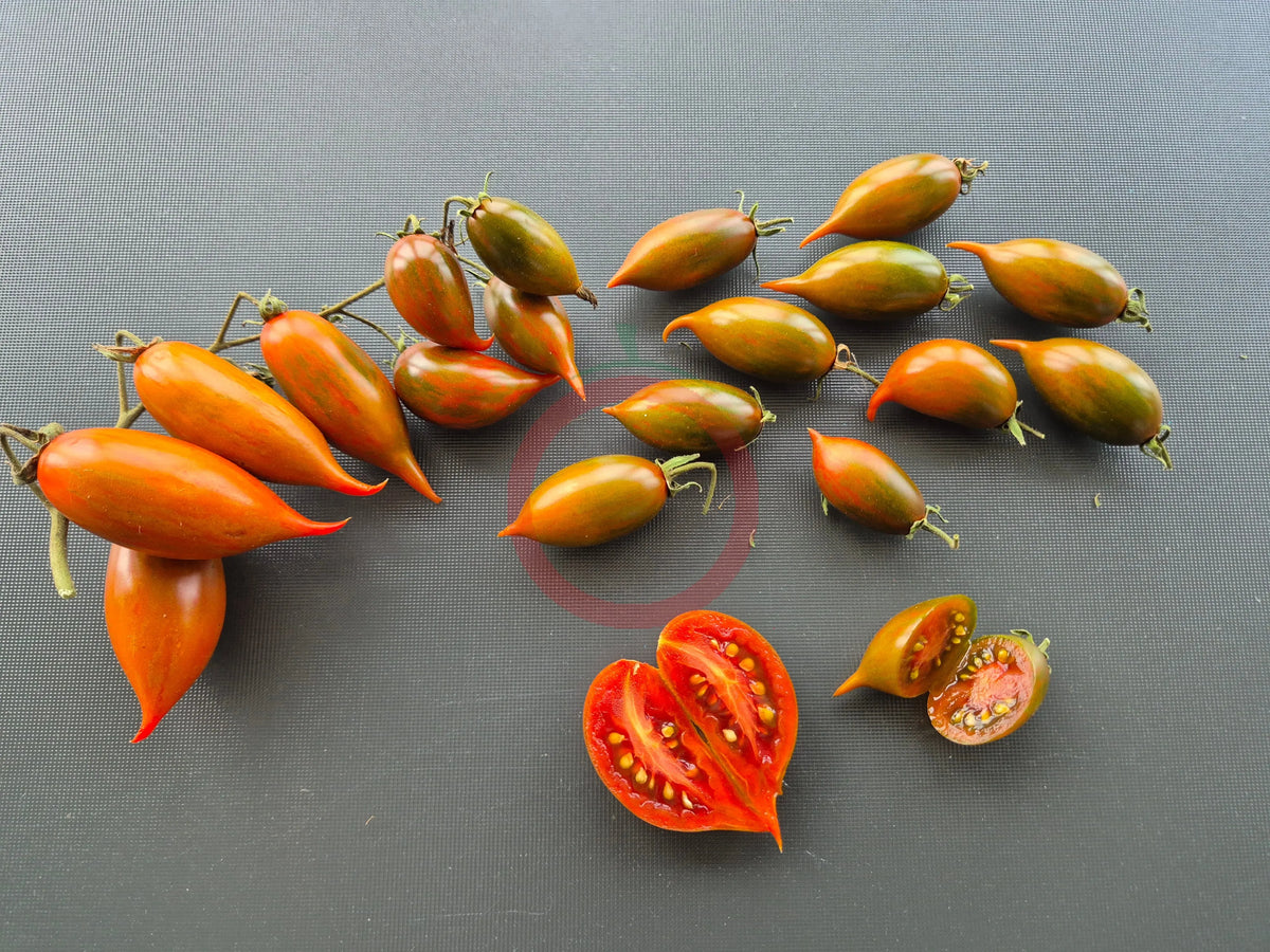 Emalia DER TOMATENFLÜSTERER