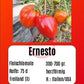 Ernesto DER TOMATENFLÜSTERER