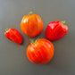 Ernesto DER TOMATENFLÜSTERER