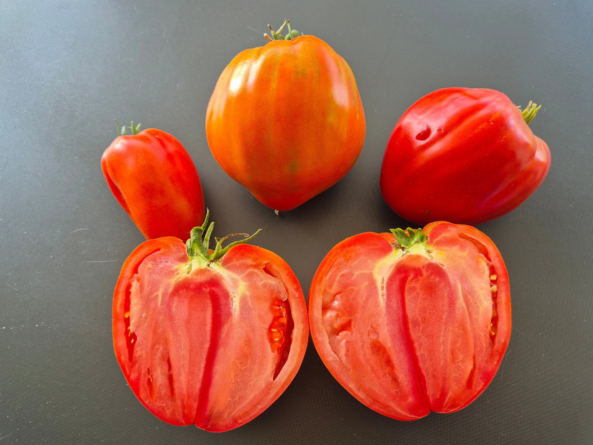 Ernesto DER TOMATENFLÜSTERER