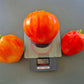 Ernesto DER TOMATENFLÜSTERER