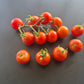 Ernteglück DER TOMATENFLÜSTERER