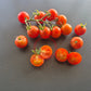 Ernteglück DER TOMATENFLÜSTERER