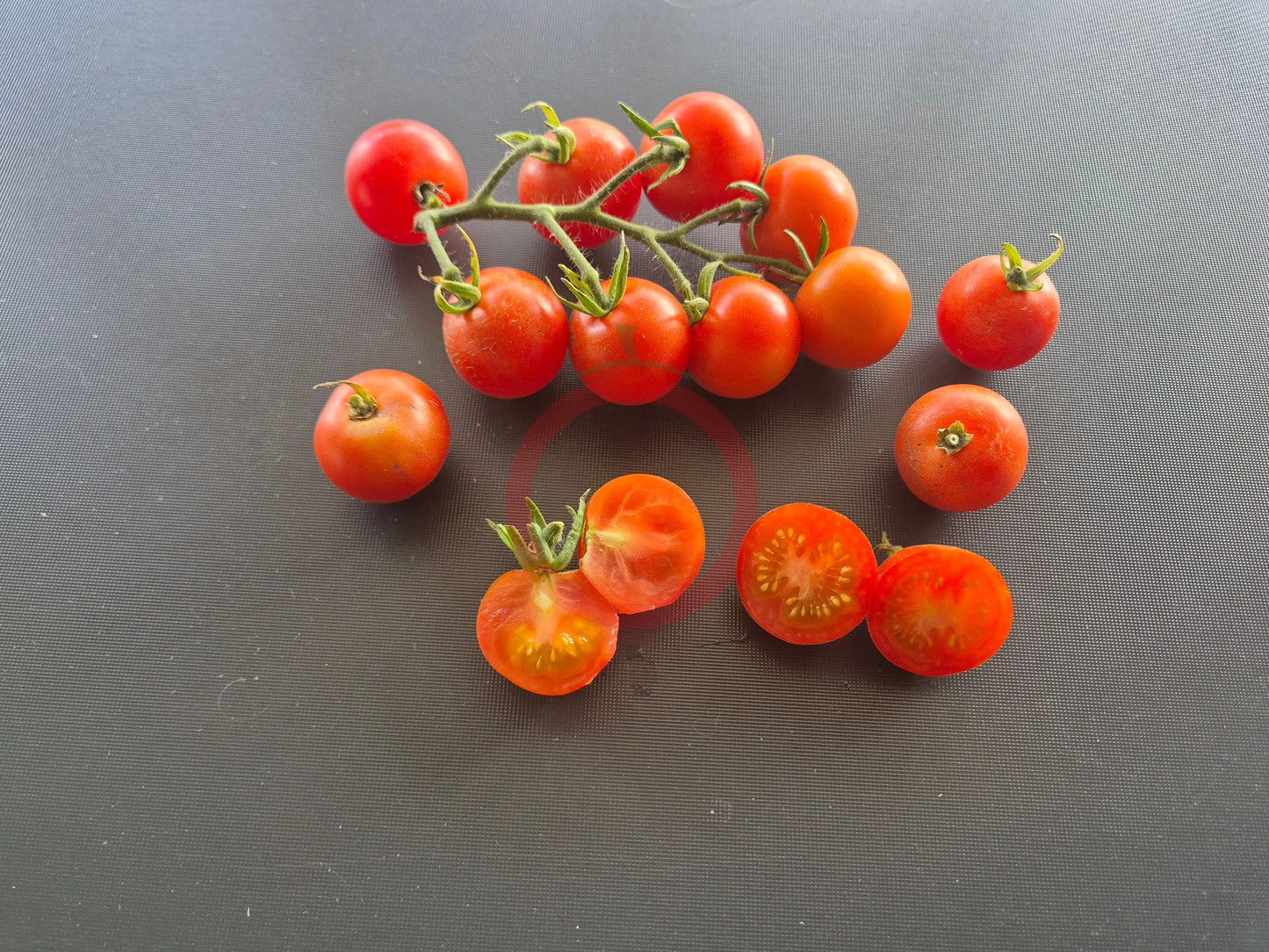 Ernteglück DER TOMATENFLÜSTERER