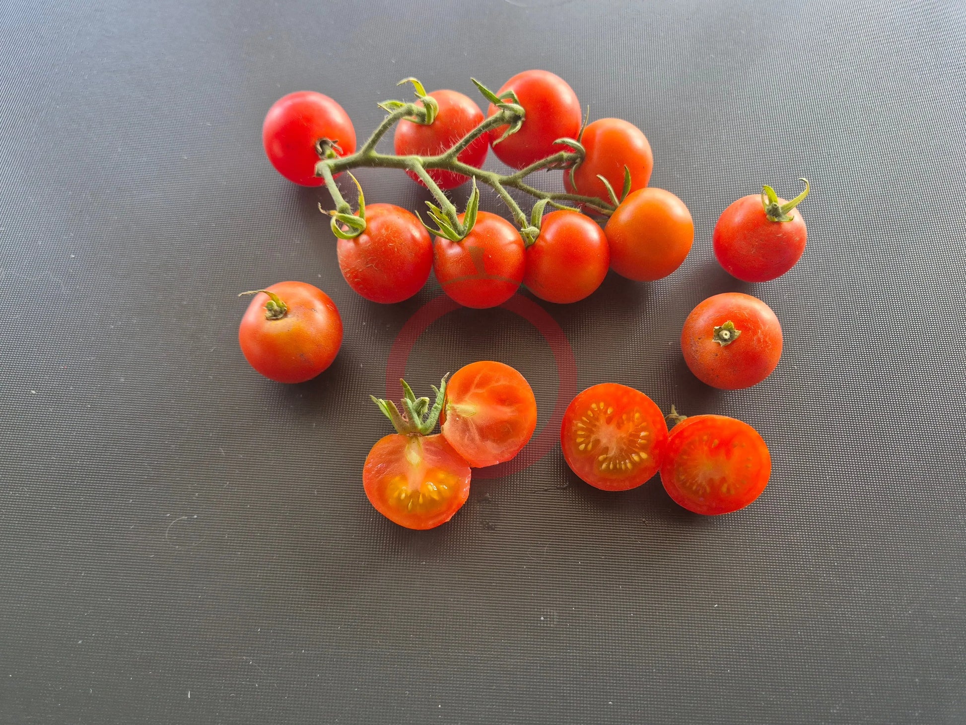 Ernteglück DER TOMATENFLÜSTERER