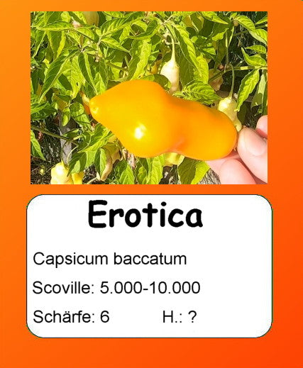 Erotica DER TOMATENFLÜSTERER