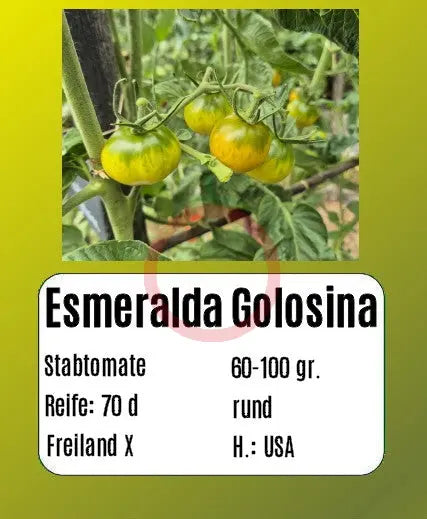 Esmeralda Golosina DER TOMATENFLÜSTERER
