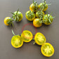 Esmeralda Golosina DER TOMATENFLÜSTERER