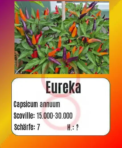 Eureka DER TOMATENFLÜSTERER