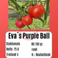 Eva Purple Ball DER TOMATENFLÜSTERER