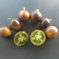 Extravagante Rouffiange DER TOMATENFLÜSTERER