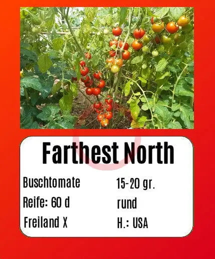 Farthest North DER TOMATENFLÜSTERER