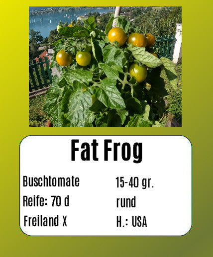 Fat Frog DER TOMATENFLÜSTERER