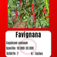 Favignana DER TOMATENFLÜSTERER