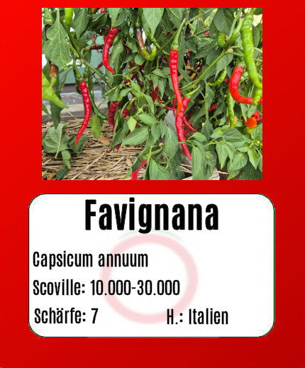 Favignana DER TOMATENFLÜSTERER