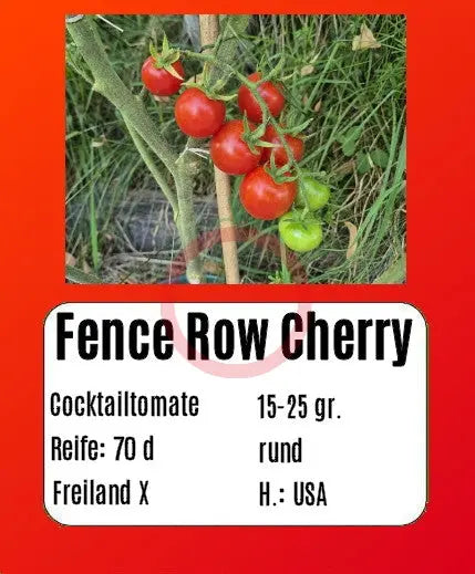 Fence Row Cherry DER TOMATENFLÜSTERER