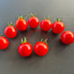 Fence Row Cherry DER TOMATENFLÜSTERER
