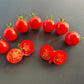 Fence Row Cherry DER TOMATENFLÜSTERER