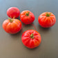 Ferris Wheel DER TOMATENFLÜSTERER