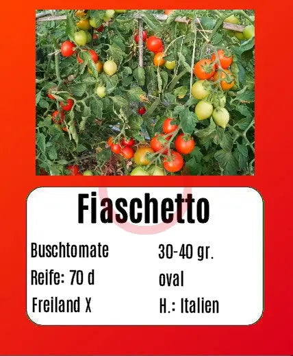 Fiaschetto DER TOMATENFLÜSTERER