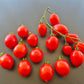 Fiaschetto di Manduria DER TOMATENFLÜSTERER